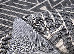 Flex 2.00x3.00 (19648/K708) | mycarpet.com.ua