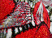 Kolibri 2.00x3.00 (11564/120) | mycarpet.com.ua