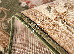 Lotos 2.00x3.00 (1557/610) | mycarpet.com.ua