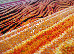 Kolibri 2.40x3.40 (11330/130) | mycarpet.com.ua