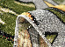 Kolibri 1.60x2.30 (11510/190) | mycarpet.com.ua