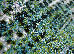Kolibri 2.00x3.00 (11567/430) | mycarpet.com.ua