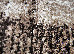 Mira 3.00x4.00 (24007/120) | mycarpet.com.ua
