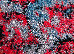Kolibri 2.00x3.00 (11547/240) | mycarpet.com.ua