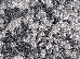 Itea (runner) 2.45 (42003/660) | mycarpet.com.ua