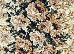 Gold 2.00x3.00 (235/32) | mycarpet.com.ua