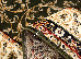 Lotos 1.50x2.30 (523/310) | mycarpet.com.ua