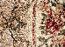 Lotos 2.00x3.00 (1557/610) | mycarpet.com.ua