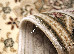 Lotos 1.20x1.70 (1555/100) | mycarpet.com.ua