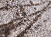 Fayno 2.00x3.00 (7146/216) | mycarpet.com.ua