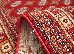 Amina 1.60x2.30 (27005/220) | mycarpet.com.ua