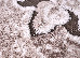 Fashion 1.60x2.30 (32003/110) | mycarpet.com.ua