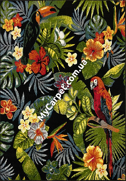 Kolibri 2.00x3.00 (11435/183)