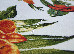 Kolibri 2.00x3.00 (11436/110) | mycarpet.com.ua