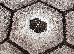 Fashion 1.60x2.30 (32039/110) | mycarpet.com.ua