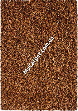 Shaggy Best 2.00x2.90 (R800/9437)