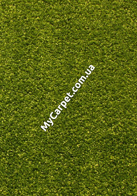 Kolibri 2.40x3.40 (11000/130) | mycarpet.com.ua