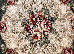 Lotos 2.00x3.00 (547/310) o | mycarpet.com.ua