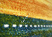Kolibri 2.00x3.00 (11208/124) | mycarpet.com.ua