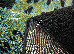 Kolibri 1.20x1.70 (11016/180) | mycarpet.com.ua