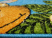 Kolibri 1.60x2.30 (11058/180) | mycarpet.com.ua