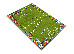 Kolibri 2.00x3.00 (11118/130) | mycarpet.com.ua