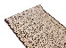 Jeans (runner) 0.67 (1944/19) | mycarpet.com.ua