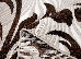 Cappuccino 1.60x2.30 (16025/118) | mycarpet.com.ua