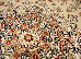 Amina 1.60x2.30 (27008/110) | mycarpet.com.ua