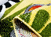 Kolibri 2.40x3.40 (11058/150) | mycarpet.com.ua