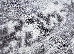 Fayno 0.80x1.50 (7155/160) | mycarpet.com.ua