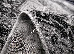 Kolibri 2.00x3.00 (11461/190) | mycarpet.com.ua