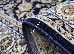 Amina 2.00x3.00 (27002/810) | mycarpet.com.ua