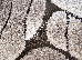 Fashion 1.60x2.30 (32046/110) | mycarpet.com.ua