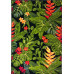 Kolibri 1.60x2.30 (11428/180) | mycarpet.com.ua