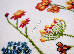 Kolibri 1.60x2.30 (11473/110) | mycarpet.com.ua