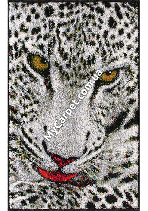 Kolibri 2.00x3.00 (11122/190)