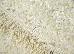 Fantasy 2.00x3.00 (12585/116) | mycarpet.com.ua