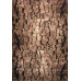 Luna 2.00x3.00 (1836/12) | mycarpet.com.ua