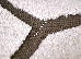 Fashion 2.00x3.00 (32022/120) | mycarpet.com.ua