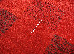 Osta Canvas 2.00х2.90 (18-256/0-301) | mycarpet.com.ua