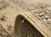 Beluchi 8 (HEREKE) 1.35х1.95 (88645/2727) | mycarpet.com.ua