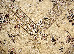 Beluchi 8 (HEREKE) 1.35х1.95 (88645/2727) | mycarpet.com.ua