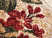 Lotos 1.00x2.00 (1511/110) | mycarpet.com.ua