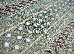 Dream 2.40x3.40 (18042/130) | mycarpet.com.ua