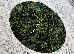 Kolibri 2.00x3.00 (11568/139) | mycarpet.com.ua