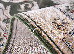 Lotos 1.60x2.30 (15002/310) | mycarpet.com.ua