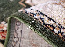 Lotos 0.80x1.50 (535/310) | mycarpet.com.ua