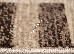 Daffi 0.60x1.10 (13025/120) | mycarpet.com.ua