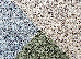 Cosmo 1.60x2.30 (35113/234) | mycarpet.com.ua